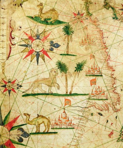 The North Coast of Africa, from a nautical atlas, 1651 (detail) by Pietro Giovanni Prunes